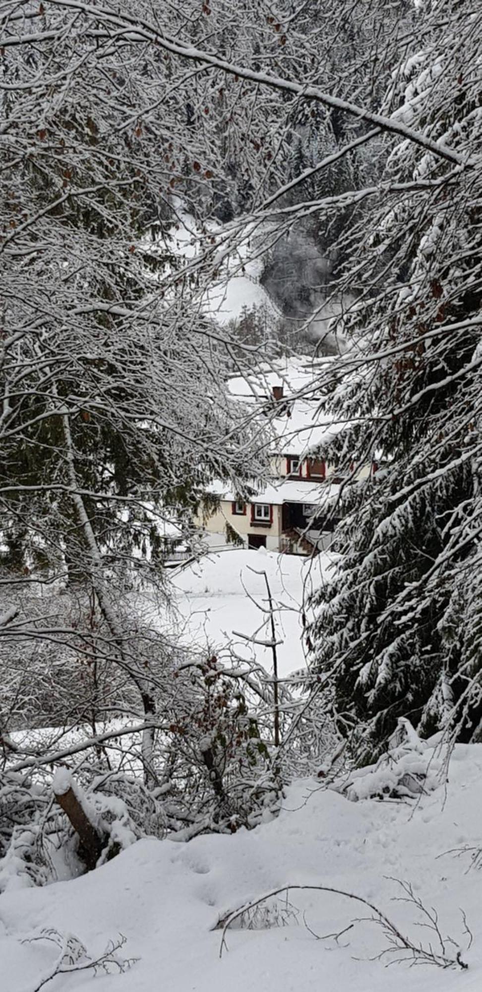 Ferienhof Ziegler - Studio Fingerhut Baiersbronn Exterior foto